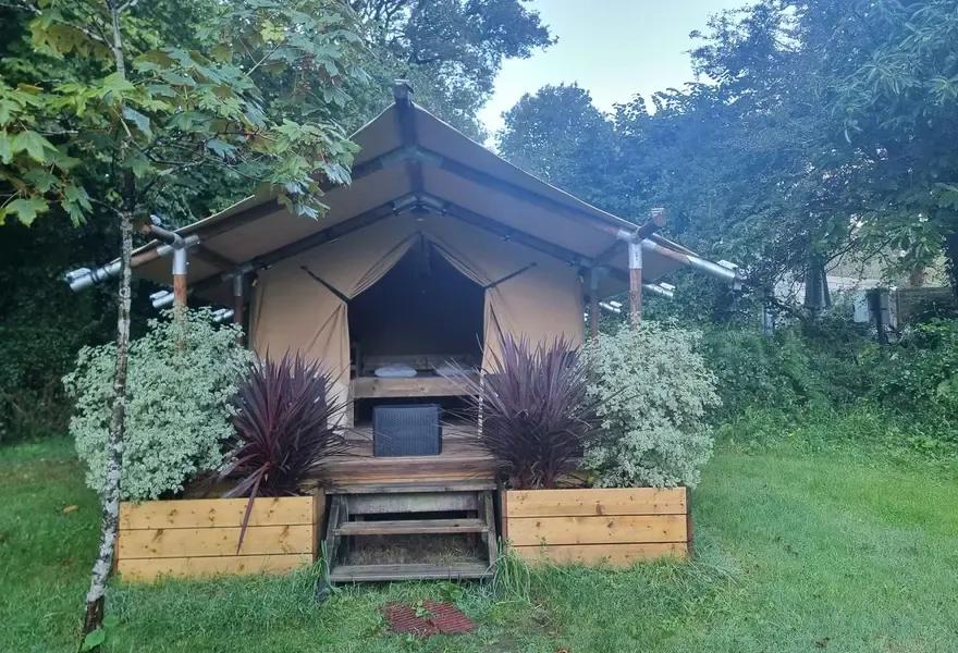 Wood lodge tente randonneur le matin